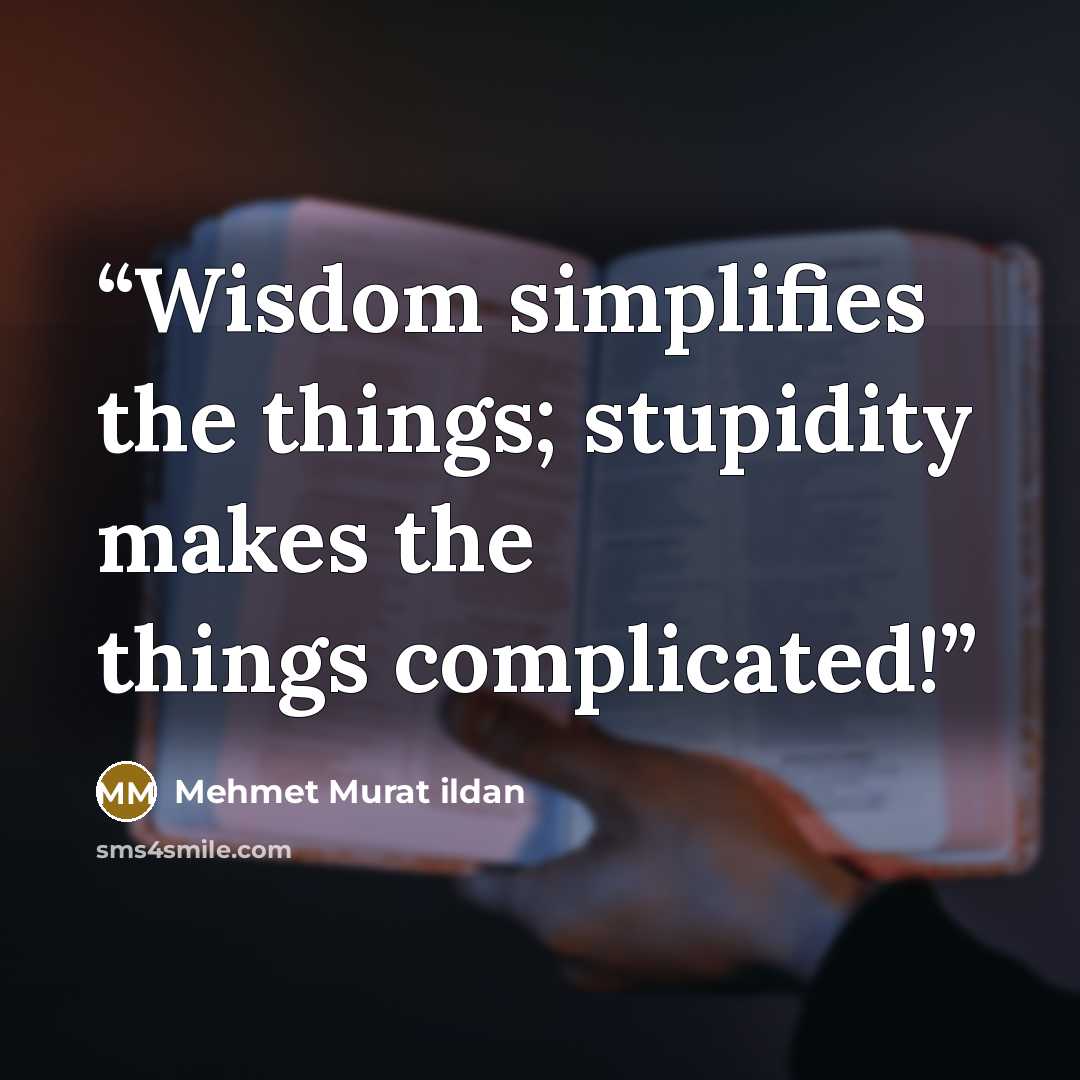 “Wisdom simplifies the things; stupidity makes the things complicated!” quote by Mehmet Murat ildan