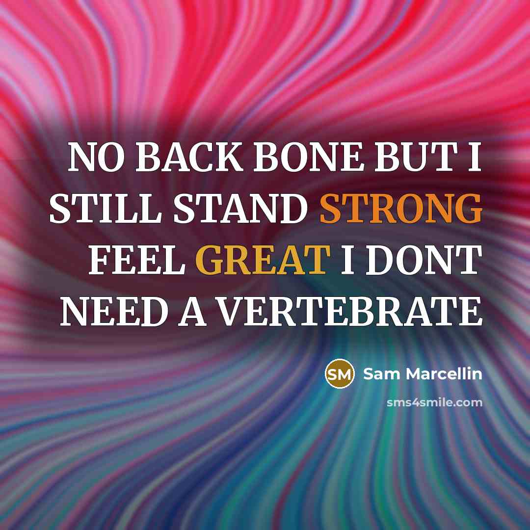 “NO BACK BONE BUT I STILL STAND STRONG FEEL GREAT I DONT NEED A VERTEBRATE” quote by Sam Marcellin