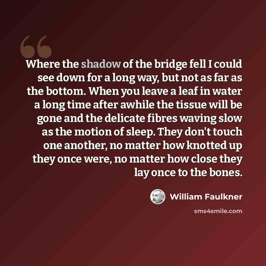 “Where the shadow of the bridge fell I could see down for a long way, but not as far as the bottom. When you leave a leaf in water a long time after awhile the tissue will be gone and the delicate fibres waving slow as the motion of sleep. They don't touch one another, no matter how knotted up they…” quote by William Faulkner