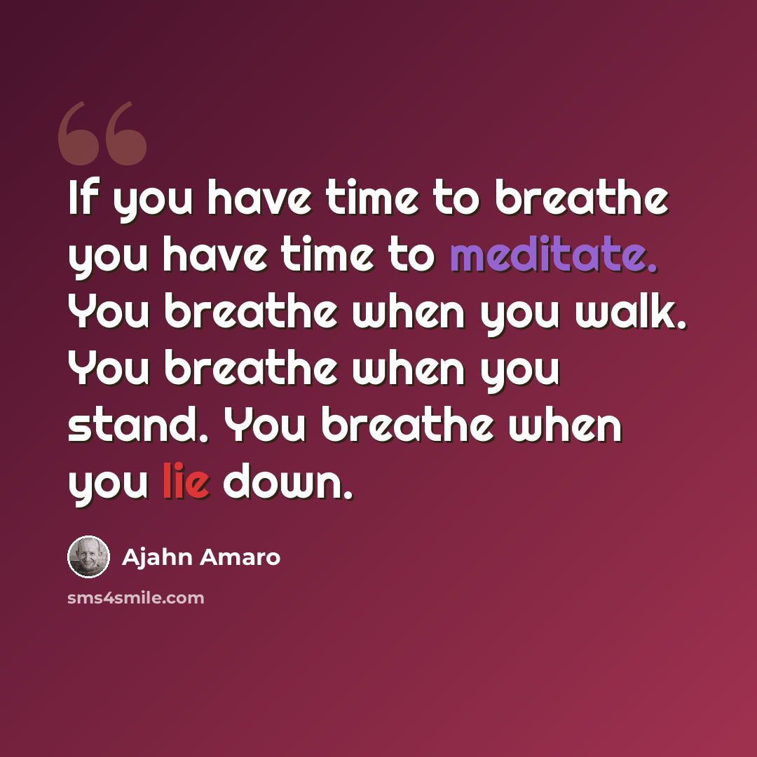 “If you have time to breathe you have time to meditate. You breathe when you walk. You breathe when you stand. You breathe when you lie down.” quote by Ajahn Amaro