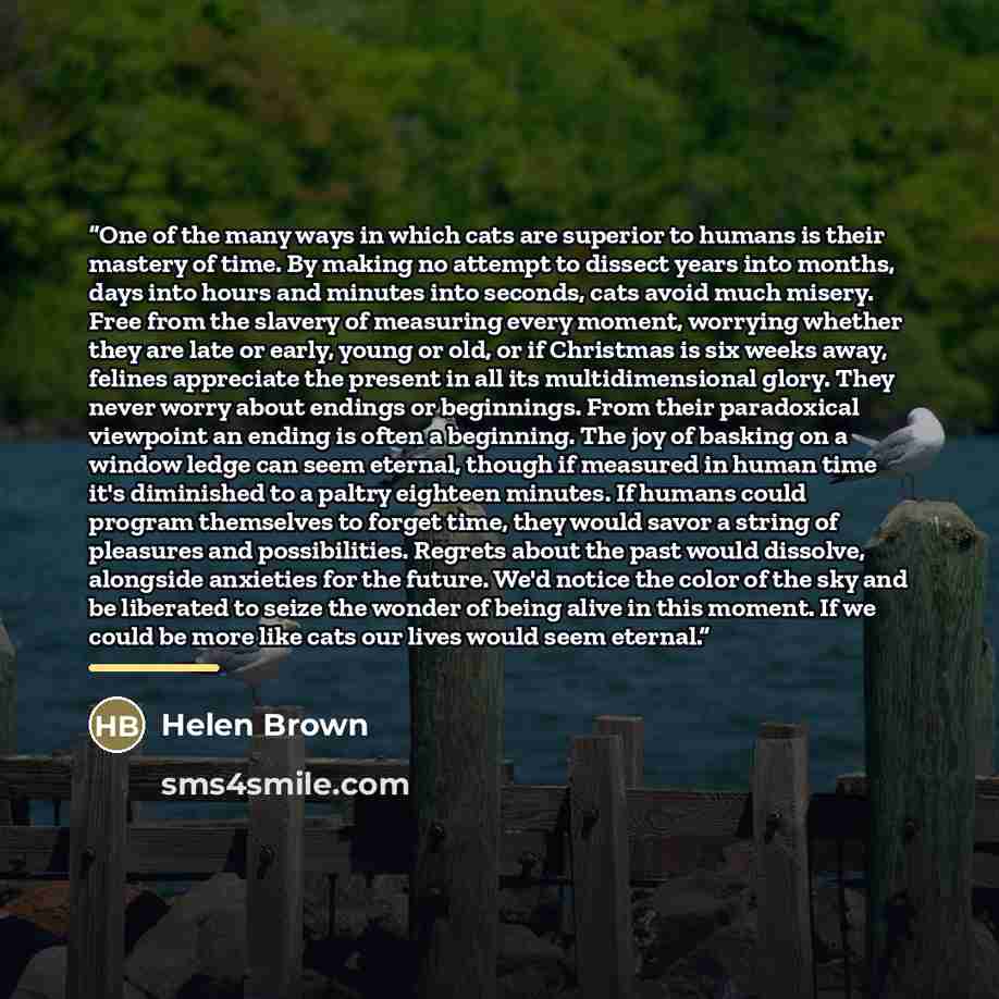 “One of the many ways in which cats are superior to humans is their mastery of time. By making no attempt to dissect years into months, days into hours and minutes into seconds, cats avoid much misery. Free from the slavery of measuring every moment, worrying whether they are late or early, young…” quote by Helen Brown