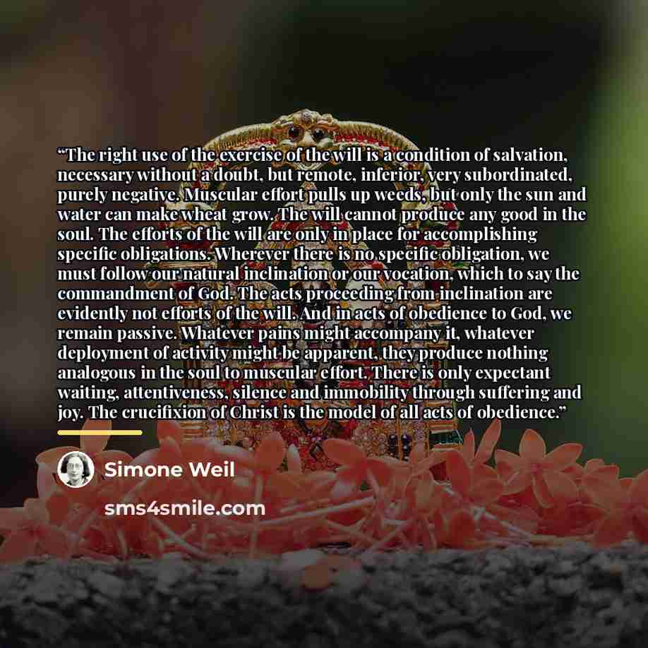 “The right use of the exercise of the will is a condition of salvation, necessary without a doubt, but remote, inferior, very subordinated, purely negative. Muscular effort pulls up weeds, but only the sun and water can make wheat grow. The will cannot produce any good in the soul. The efforts of…” quote by Simone Weil