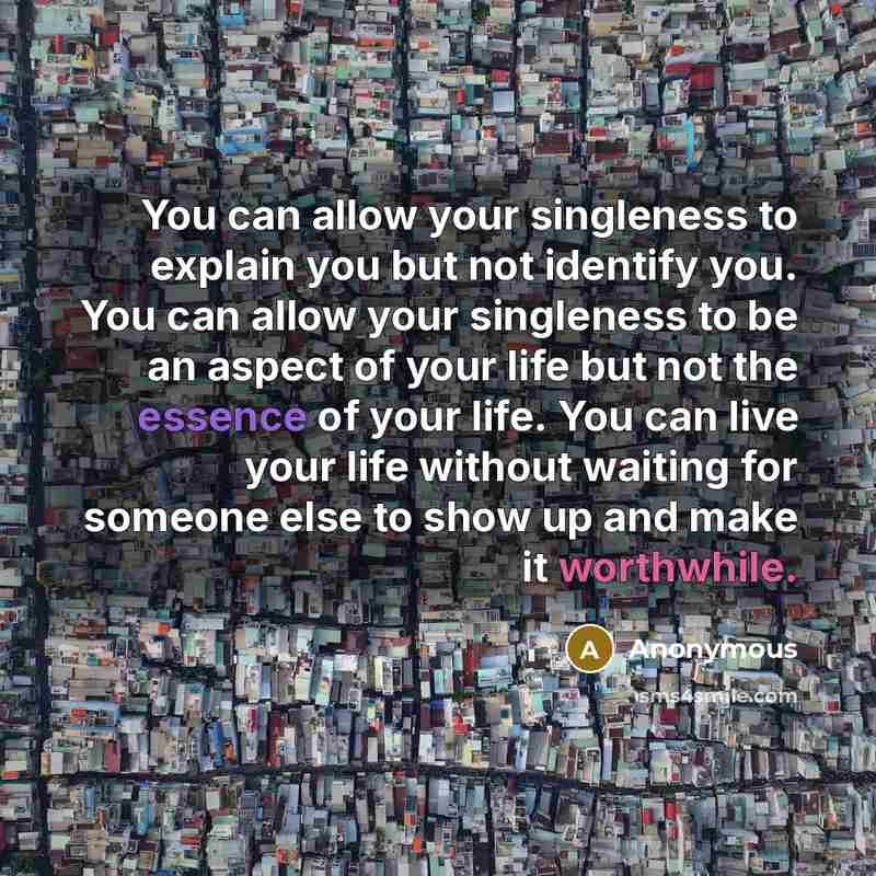 “You can allow your singleness to explain you but not identify you. You can allow your singleness to be an aspect of your life but not the essence of your life. You can live your life without waiting for someone else to show up and make it worthwhile.” quote by Anonymous