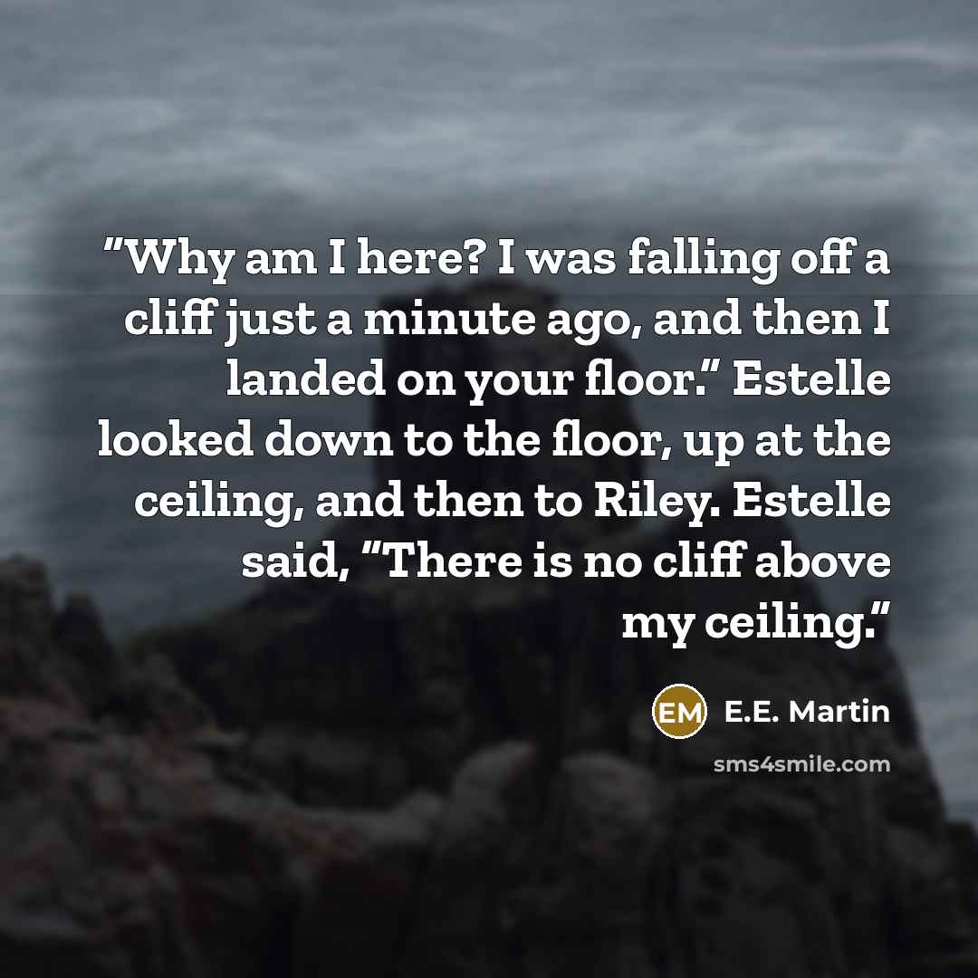 “Why am I here? I was falling off a cliff just a minute ago, and then I landed on your floor.” Estelle looked down to the floor, up at the ceiling, and then to Riley. Estelle said, “There is no cliff above my ceiling.” quote by E.E. Martin
