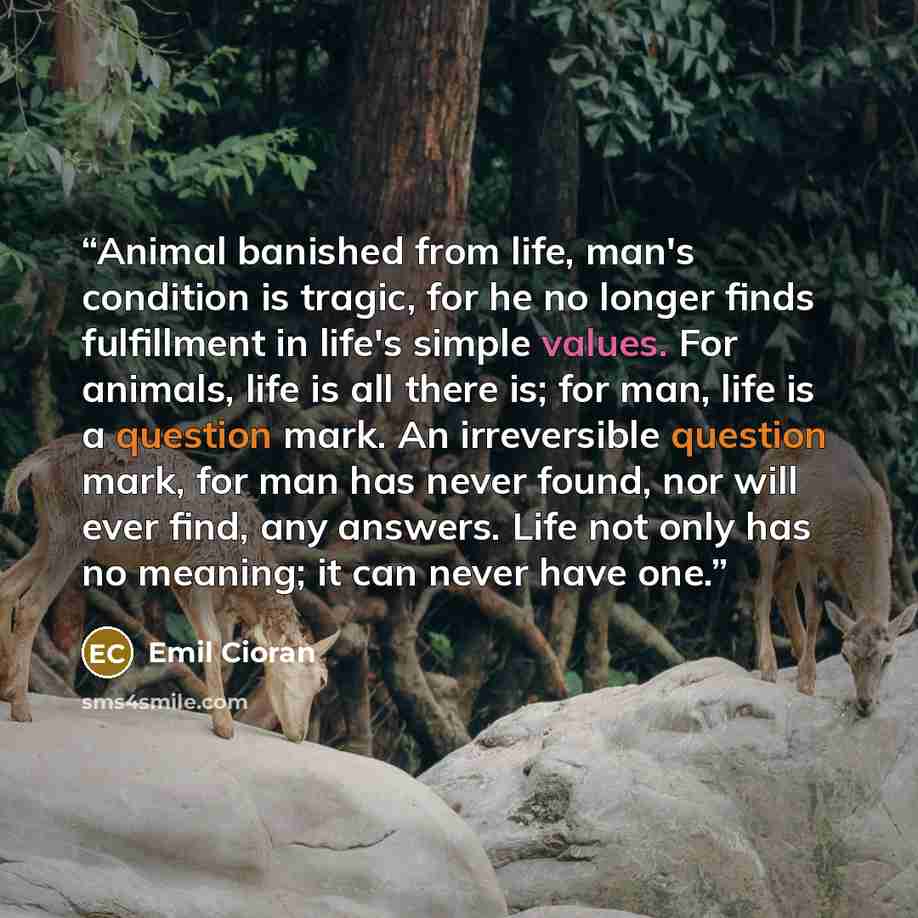 “Animal banished from life, man's condition is tragic, for he no longer finds fulfillment in life's simple values. For animals, life is all there is; for man, life is a question mark. An irreversible question mark, for man has never found, nor will ever find, any answers. Life not only has no…” quote by Emil Cioran