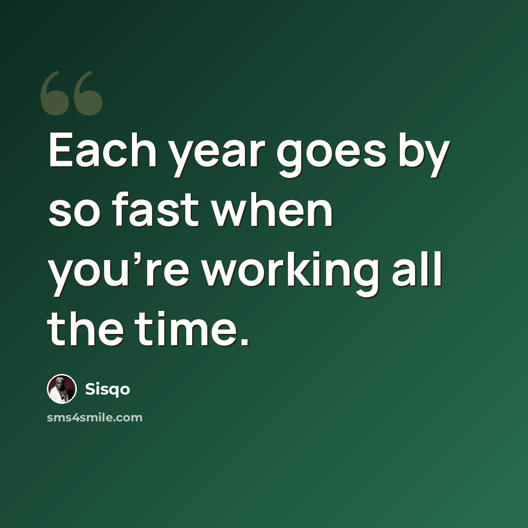 “Each year goes by so fast when you're working all the time.” quote by Sisqo