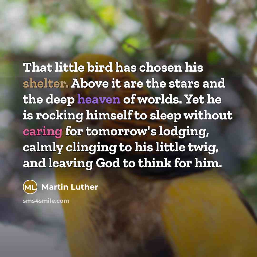 “That little bird has chosen his shelter. Above it are the stars and the deep heaven of worlds. Yet he is rocking himself to sleep without caring for tomorrow's lodging, calmly clinging to his little twig, and leaving God to think for him.” quote by Martin Luther