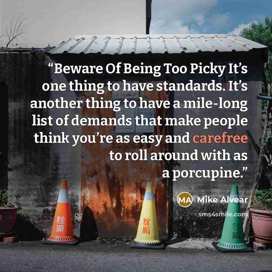 “Beware Of Being Too Picky It’s one thing to have standards. It’s another thing to have a mile-long list of demands that make people think you’re as easy and carefree to roll around with as a porcupine.” quote by Mike Alvear