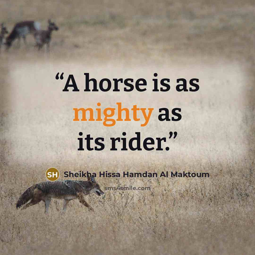 “A horse is as mighty as its rider.” quote by Sheikha Hissa Hamdan Al Maktoum