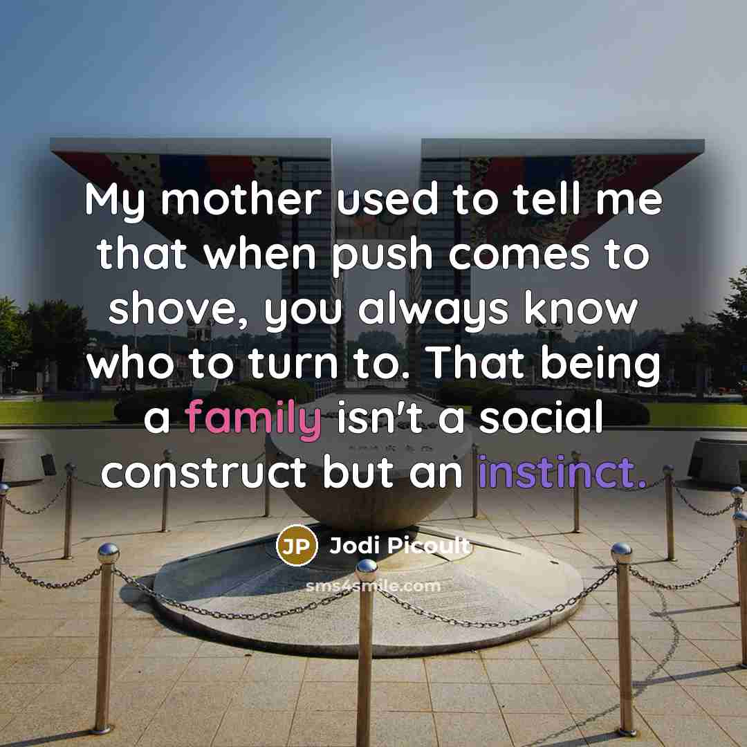 “My mother used to tell me that when push comes to shove, you always know who to turn to. That being a family isn't a social construct but an instinct.” quote by Jodi Picoult
