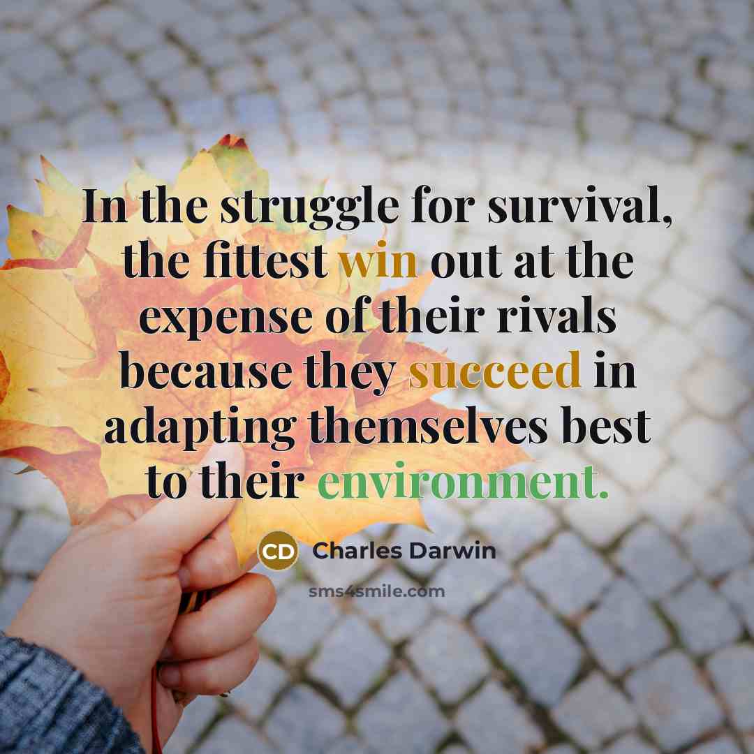 “In the struggle for survival, the fittest win out at the expense of their rivals because they succeed in adapting themselves best to their environment.” quote by Charles Darwin