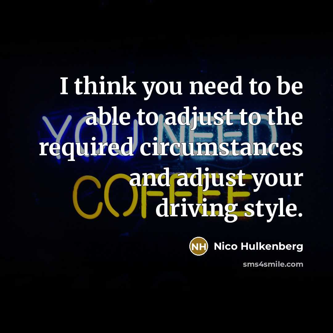 “I think you need to be able to adjust to the required circumstances and adjust your driving style.” quote by Nico Hulkenberg