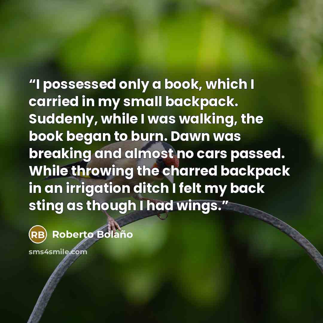 “I possessed only a book, which I carried in my small backpack. Suddenly, while I was walking, the book began to burn. Dawn was breaking and almost no cars passed. While throwing the charred backpack in an irrigation ditch I felt my back sting as though I had wings.” quote by Roberto Bolaño