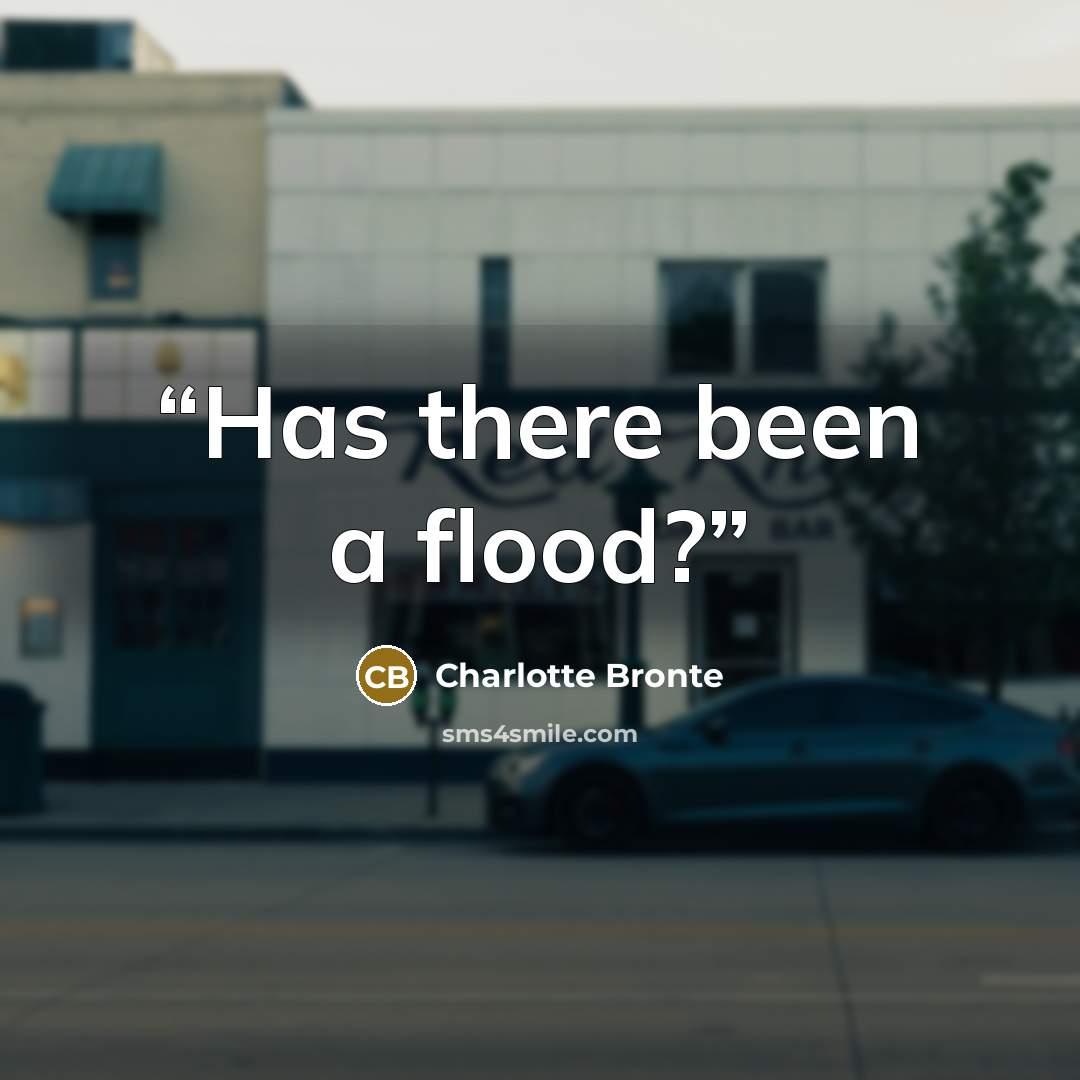 “Has there been a flood?” quote by Charlotte Brontë