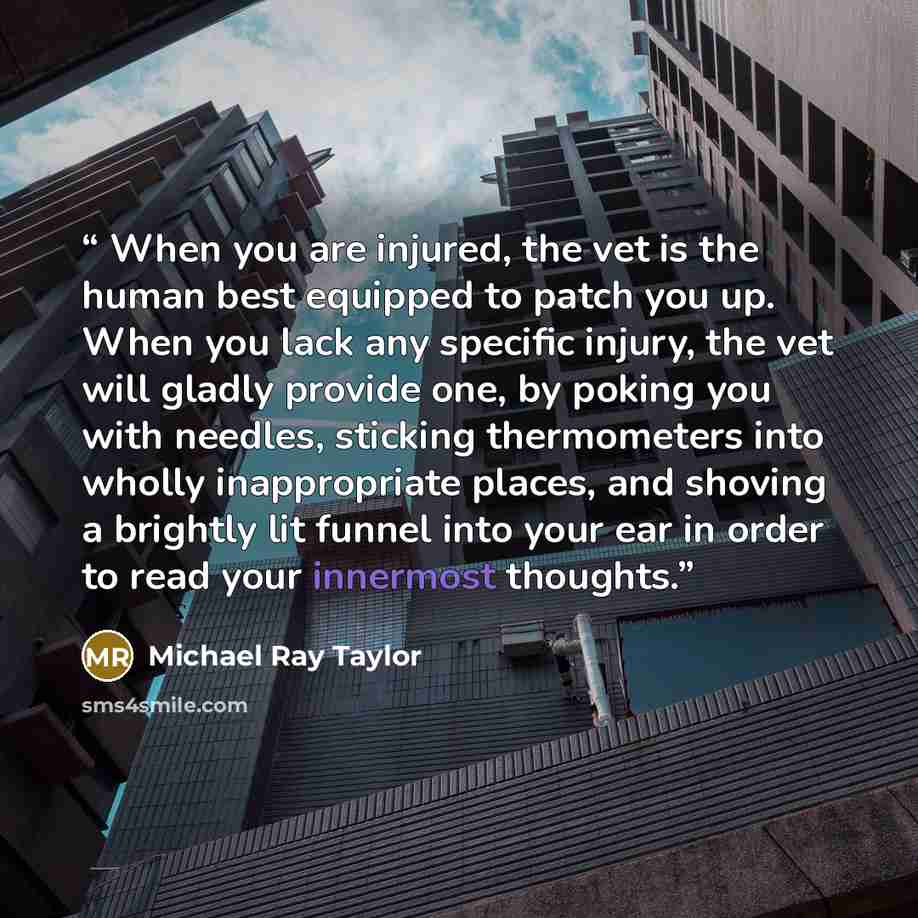 “When you are injured, the vet is the human best equipped to patch you up. When you lack any specific injury, the vet will gladly provide one, by poking you with needles, sticking thermometers into wholly inappropriate places, and shoving a brightly lit funnel into your ear in order to read your…” quote by Michael Ray Taylor