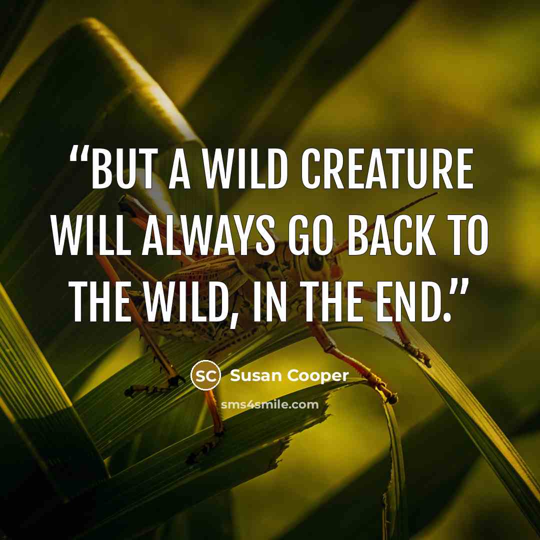 “But a wild creature will always go back to the wild, in the end.” quote by Susan Cooper