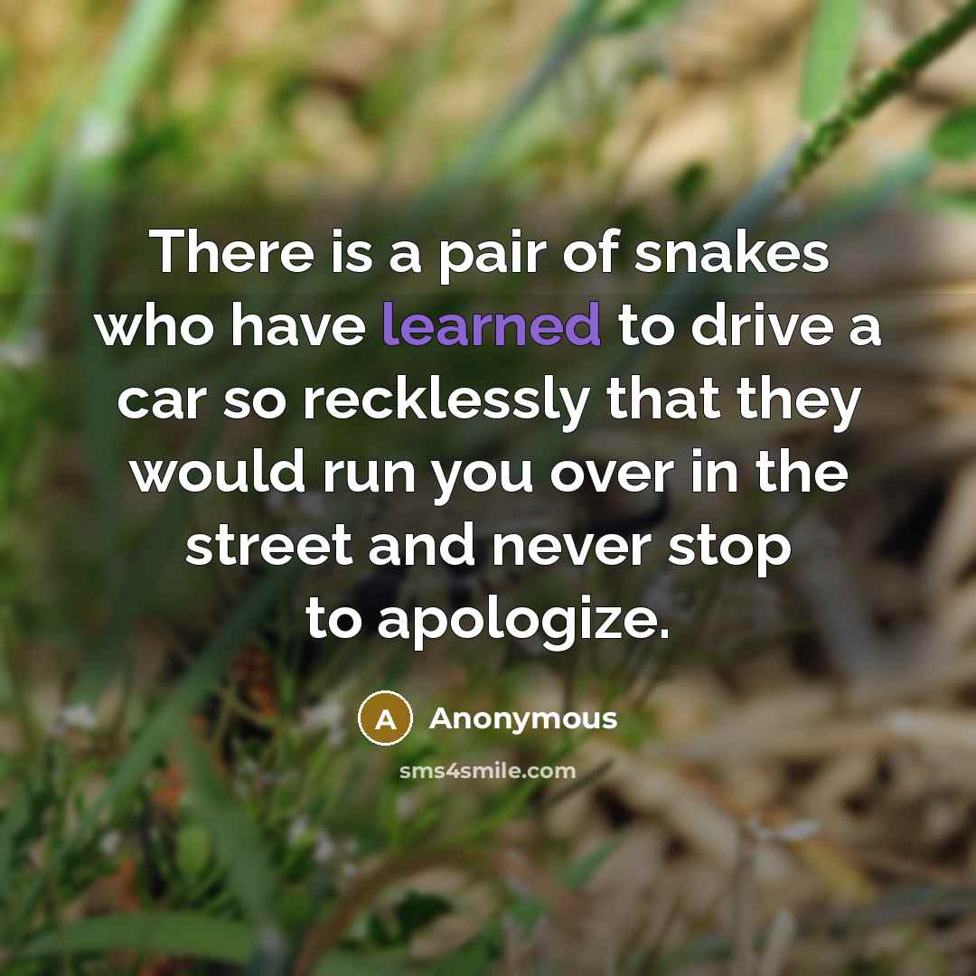 “There is a pair of snakes who have learned to drive a car so recklessly that they would run you over in the street and never stop to apologize.” quote by Anonymous