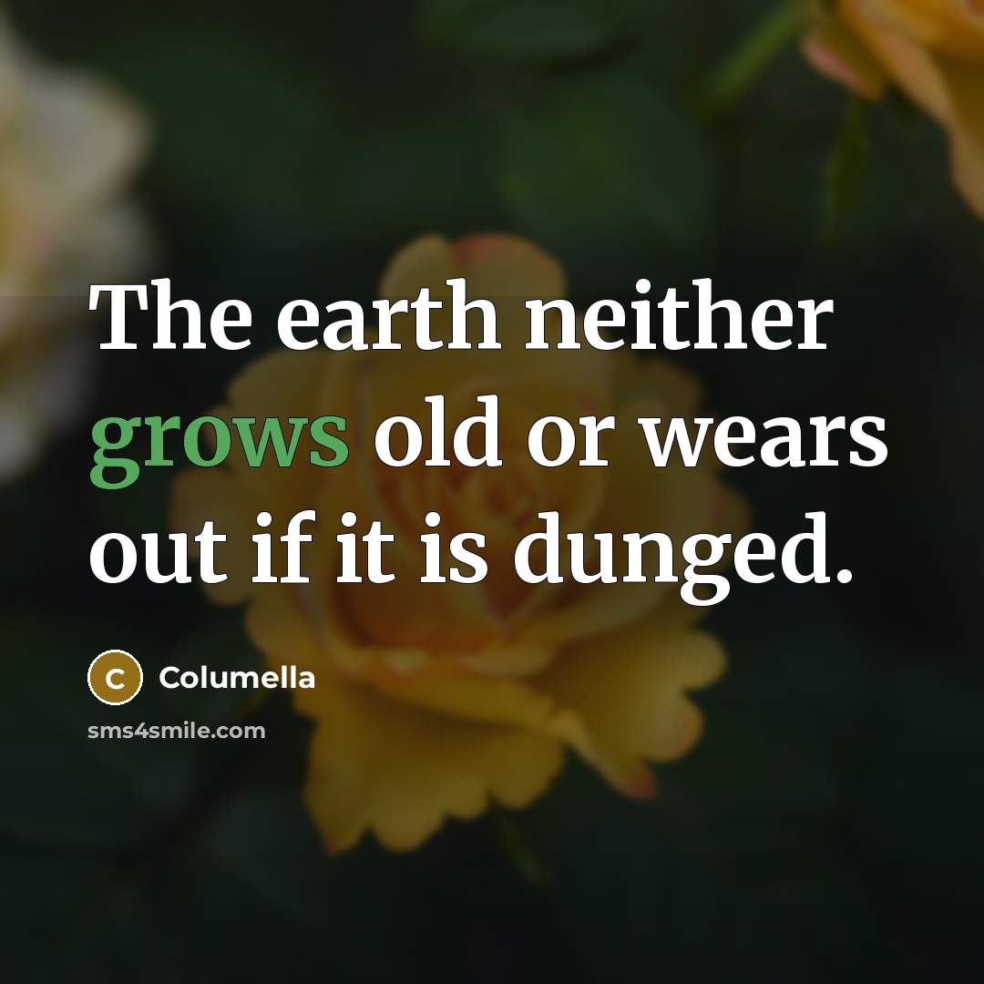 “The earth neither grows old or wears out if it is dunged.” quote by Columella