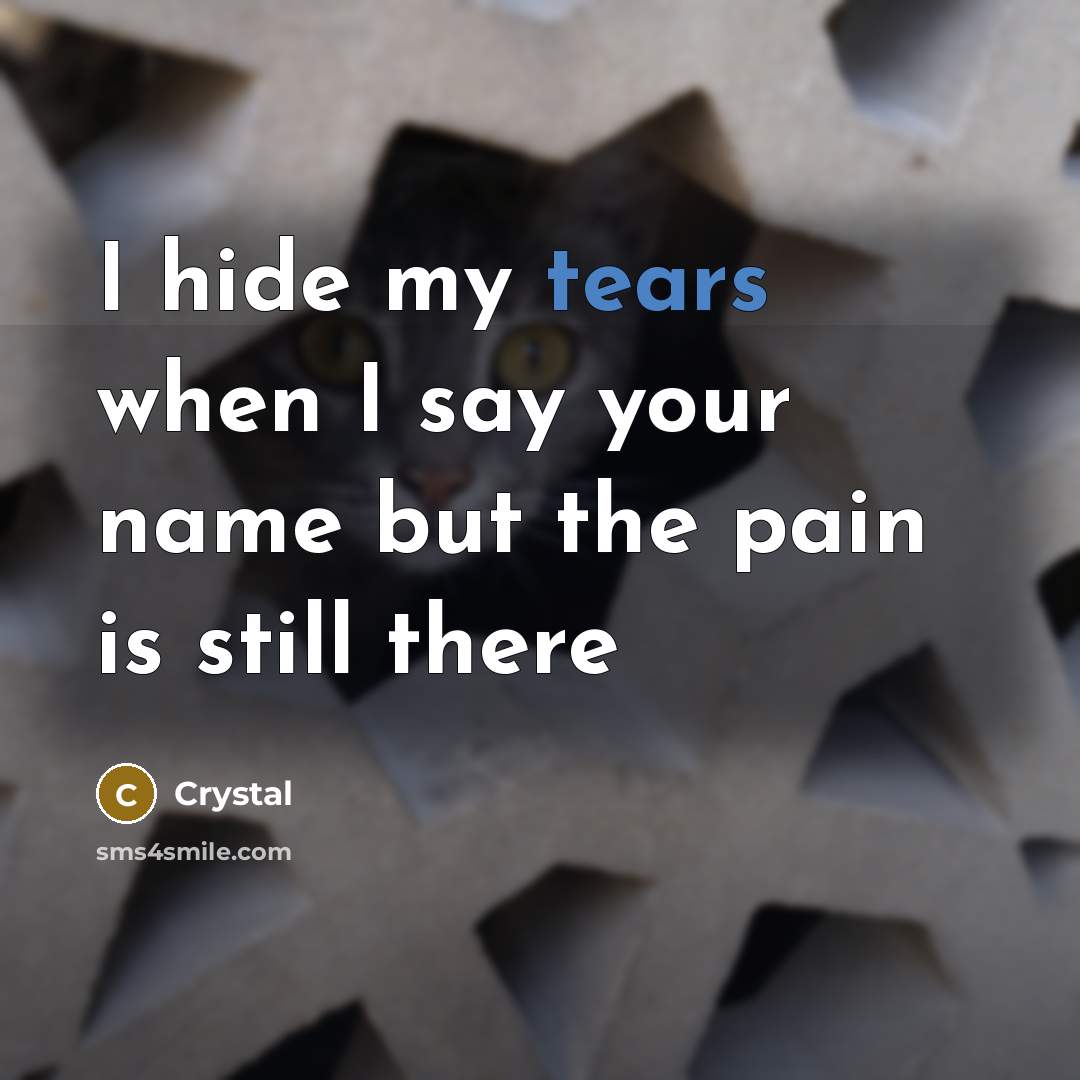 “I hide my tears when I say your name but the pain is still there” quote by Crystal