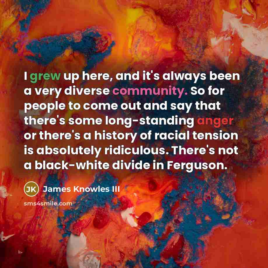 “I grew up here, and it's always been a very diverse community. So for people to come out and say that there's some long-standing anger or there's a history of racial tension is absolutely ridiculous. There's not a black-white divide in Ferguson.” quote by James Knowles III