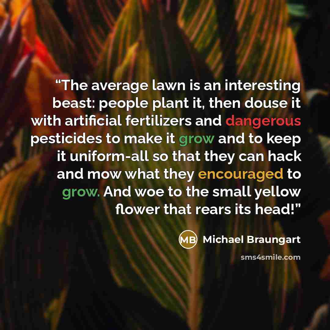 “The average lawn is an interesting beast: people plant it, then douse it with artificial fertilizers and dangerous pesticides to make it grow and to keep it uniform-all so that they can hack and mow what they encouraged to grow. And woe to the small yellow flower that rears its head!” quote by Michael Braungart