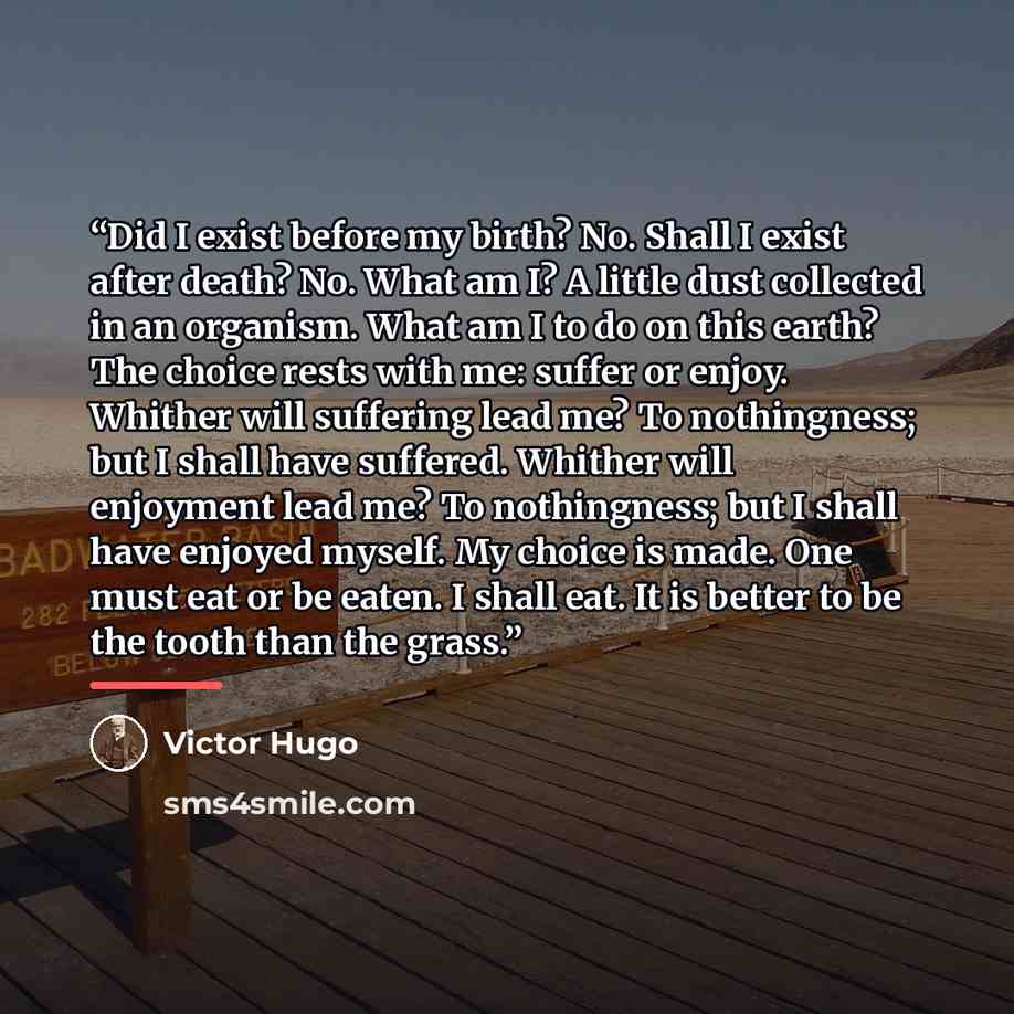 “Did I exist before my birth? No. Shall I exist after death? No. What am I? A little dust collected in an organism. What am I to do on this earth? The choice rests with me: suffer or enjoy. Whither will suffering lead me? To nothingness; but I shall have suffered. Whither will enjoyment lead me? To…” quote by Victor Hugo