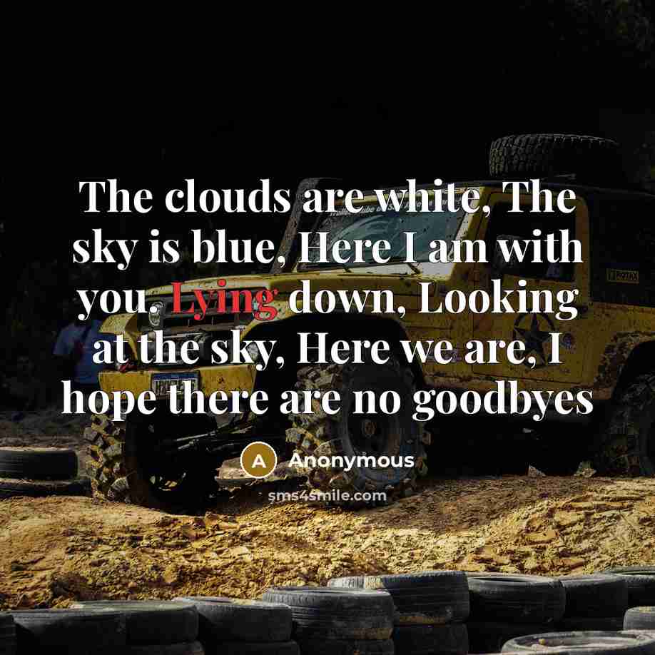 “The clouds are white, The sky is blue, Here I am with you. Lying down, Looking at the sky, Here we are, I hope there are no goodbyes” quote by Anonymous