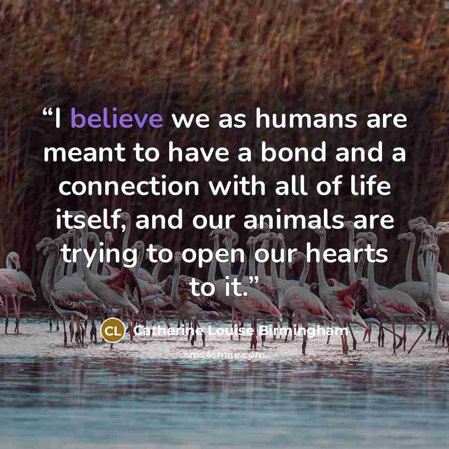 “I believe we as humans are meant to have a bond and a connection with all of life itself, and our animals are trying to open our hearts to it.” quote by Catherine Louise Birmingham