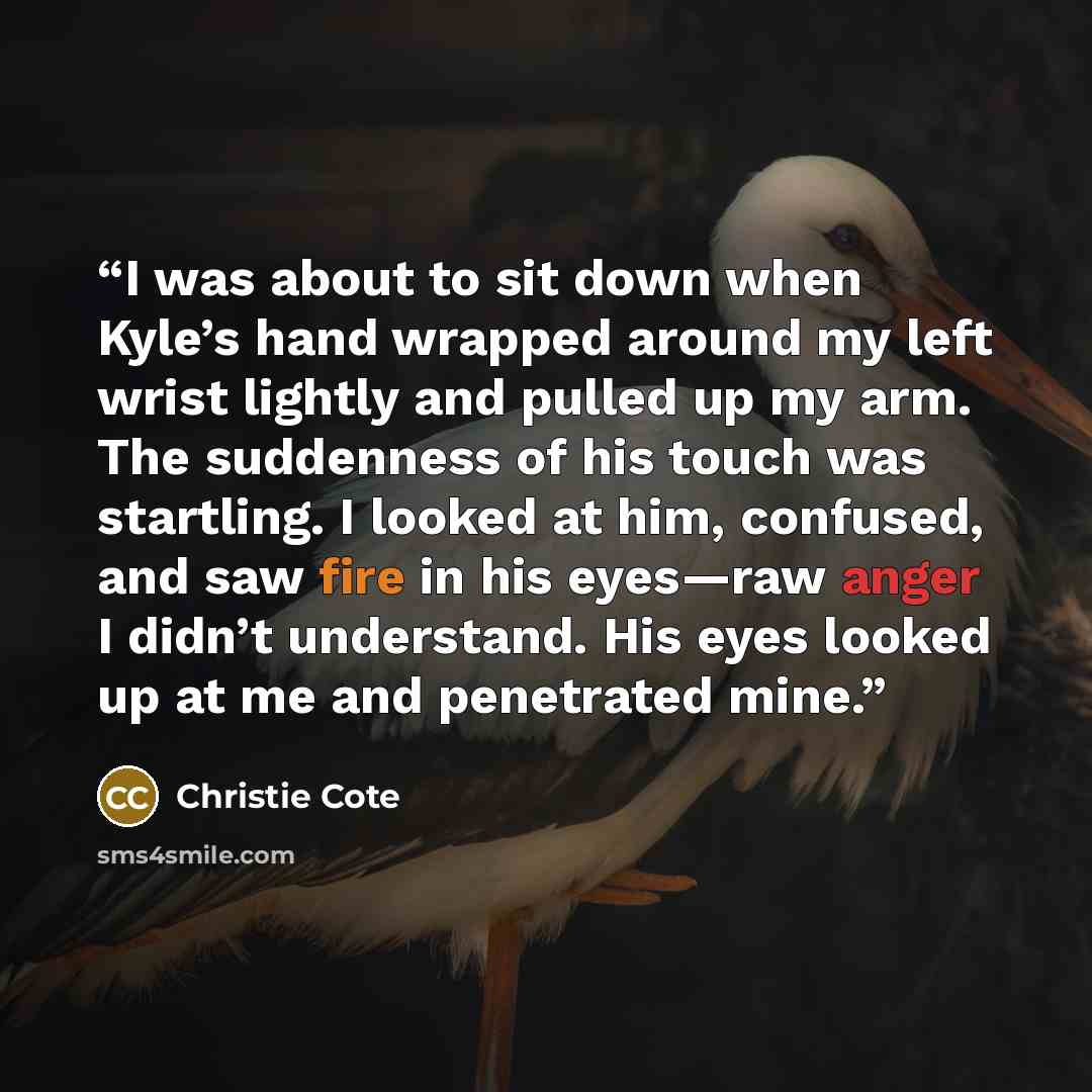 “I was about to sit down when Kyle’s hand wrapped around my left wrist lightly and pulled up my arm. The suddenness of his touch was startling. I looked at him, confused, and saw fire in his eyes—raw anger I didn’t understand. His eyes looked up at me and penetrated mine.” quote by Christie Cote