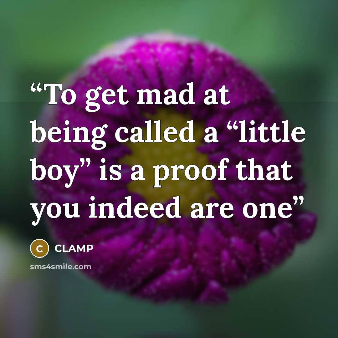 “To get mad at being called a “little boy” is a proof that you indeed are one” quote by CLAMP