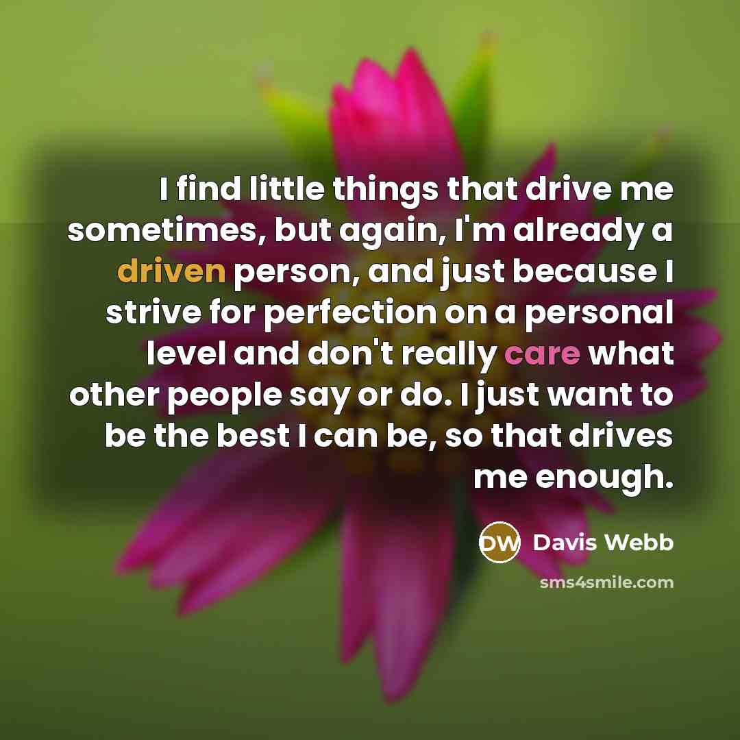 “I find little things that drive me sometimes, but again, I'm already a driven person, and just because I strive for perfection on a personal level and don't really care what other people say or do. I just want to be the best I can be, so that drives me enough.” quote by Davis Webb