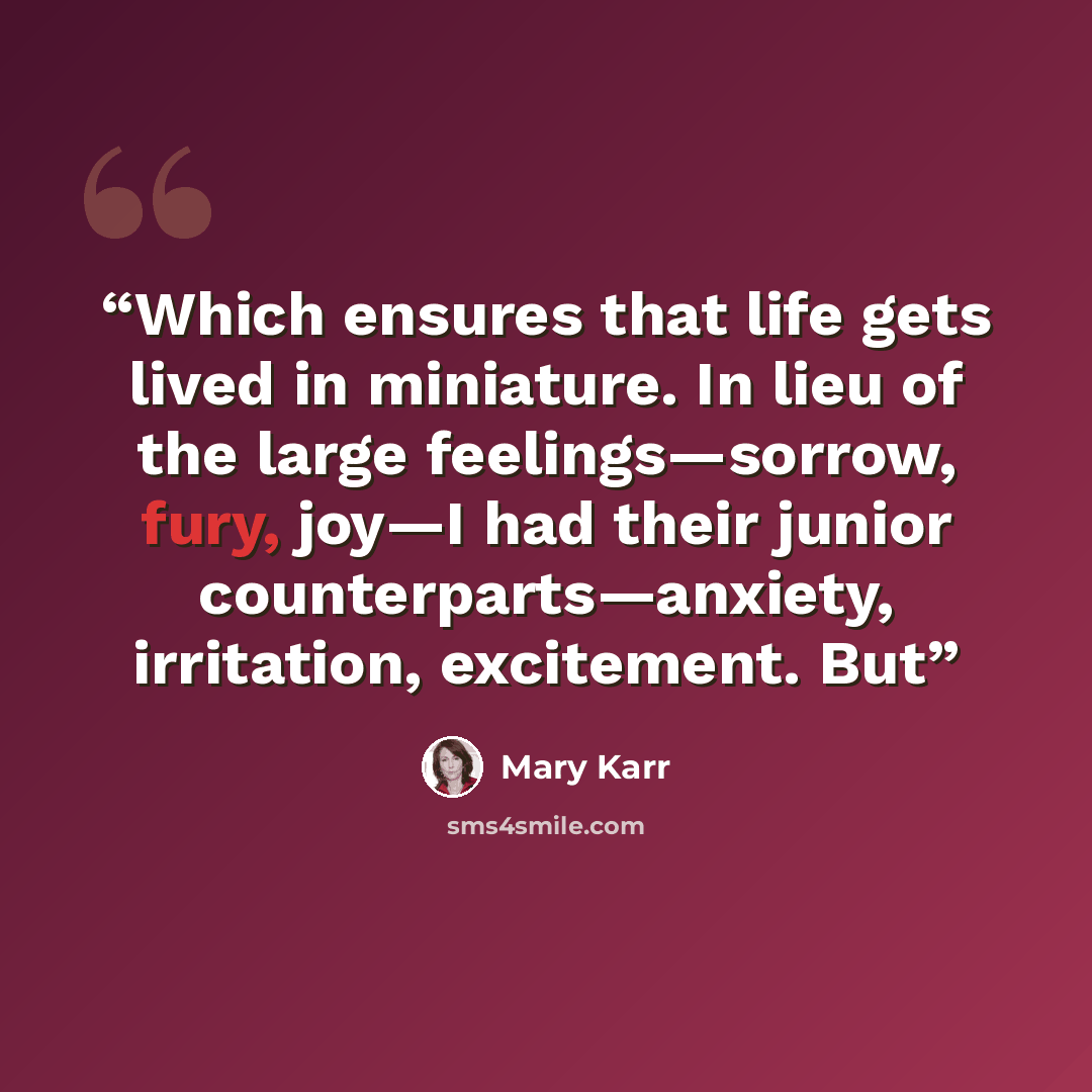 “Which ensures that life gets lived in miniature. In lieu of the large feelings—sorrow, fury, joy—I had their junior counterparts—anxiety, irritation, excitement. But” quote by Mary Karr