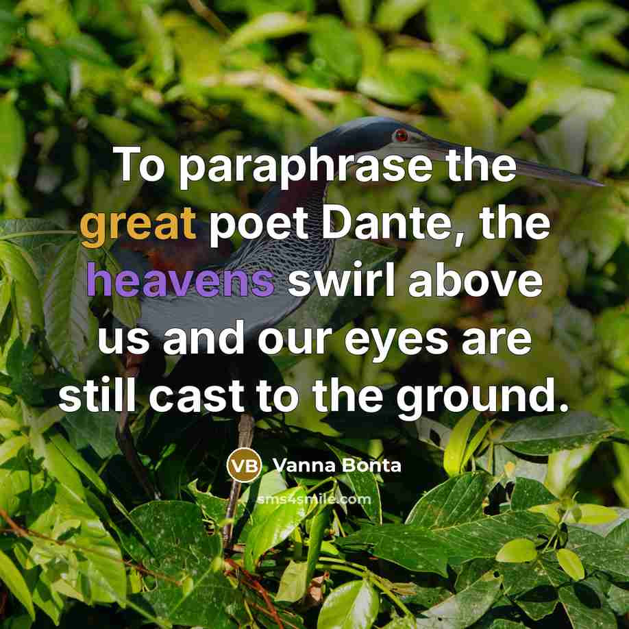 “To paraphrase the great poet Dante, the heavens swirl above us and our eyes are still cast to the ground.” quote by Vanna Bonta