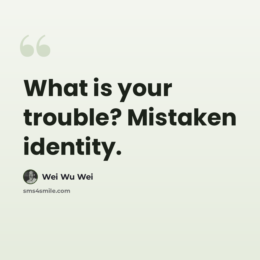 “What is your trouble? Mistaken identity.” quote by Wei Wu Wei