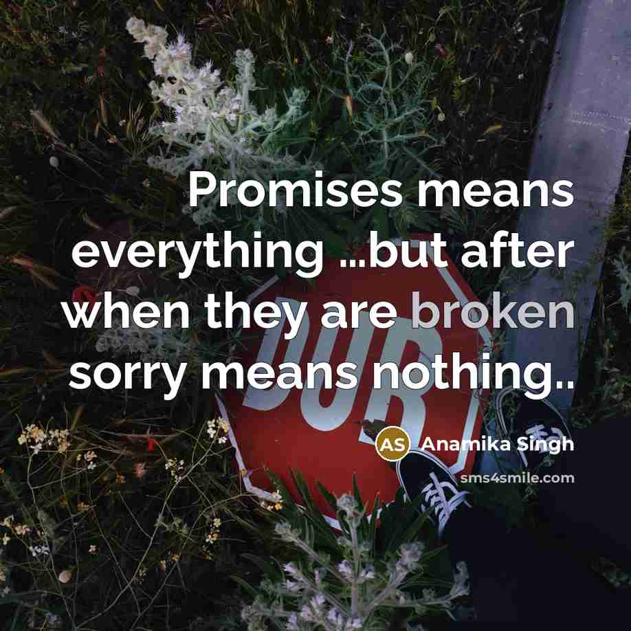 “Promises means everything …but after when they are broken sorry means nothing..” quote by Anamika Singh