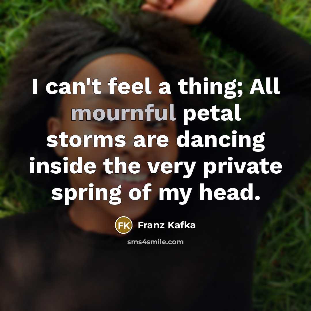 “I can't feel a thing; All mournful petal storms are dancing inside the very private spring of my head.” quote by Franz Kafka