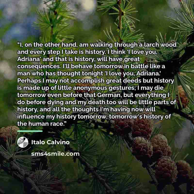 “I, on the other hand, am walking through a larch wood and every step I take is history. I think 'I love you, Adriana' and that is history, will have great consequences. I'll behave tomorrow in battle like a man who has thought tonight 'I love you, Adriana.' Perhaps I may not accomplish great deeds…” quote by Italo Calvino