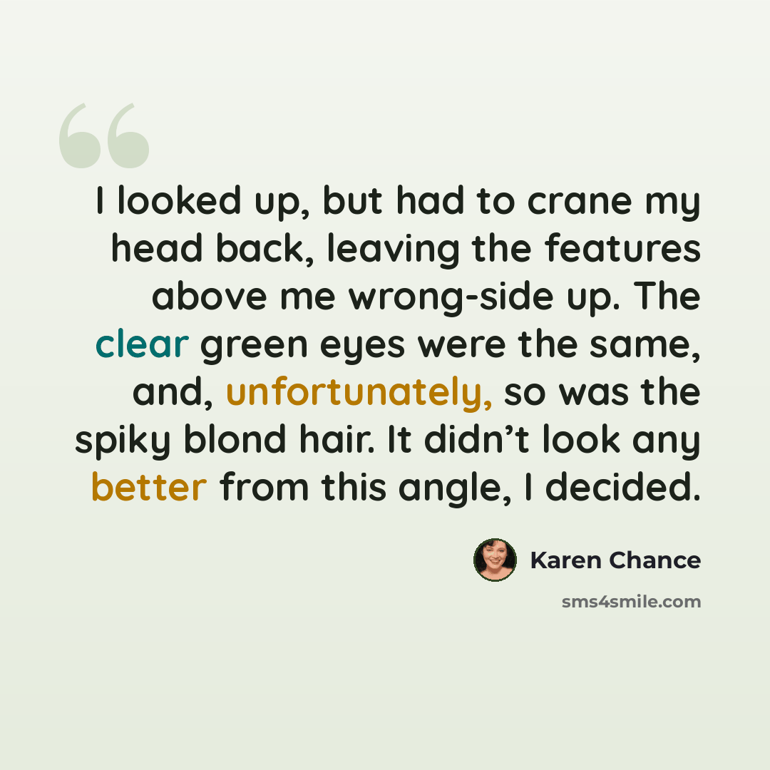 “I looked up, but had to crane my head back, leaving the features above me wrong-side up. The clear green eyes were the same, and, unfortunately, so was the spiky blond hair. It didn’t look any better from this angle, I decided.” quote by Karen Chance