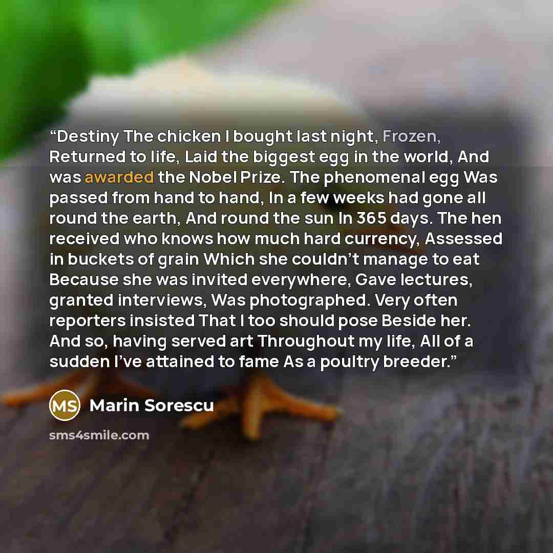 “Destiny The chicken I bought last night, Frozen, Returned to life, Laid the biggest egg in the world, And was awarded the Nobel Prize. The phenomenal egg Was passed from hand to hand, In a few weeks had gone all round the earth, And round the sun In 365 days. The hen received who knows how much…” quote by Marin Sorescu