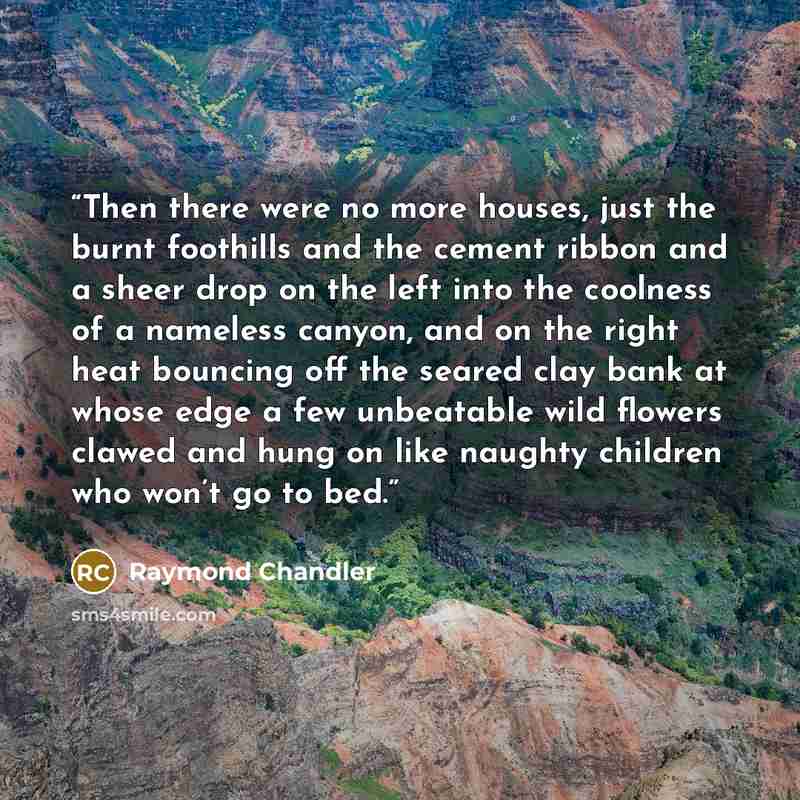 “Then there were no more houses, just the burnt foothills and the cement ribbon and a sheer drop on the left into the coolness of a nameless canyon, and on the right heat bouncing off the seared clay bank at whose edge a few unbeatable wild flowers clawed and hung on like naughty children who won’t…” quote by Raymond Chandler