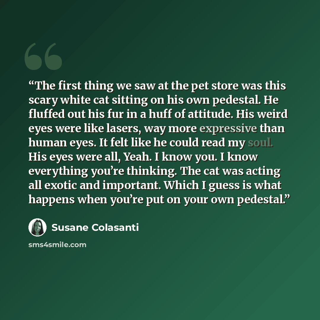 “The first thing we saw at the pet store was this scary white cat sitting on his own pedestal. He fluffed out his fur in a huff of attitude. His weird eyes were like lasers, way more expressive than human eyes. It felt like he could read my soul. His eyes were all, Yeah. I know you. I know…” quote by Susane Colasanti