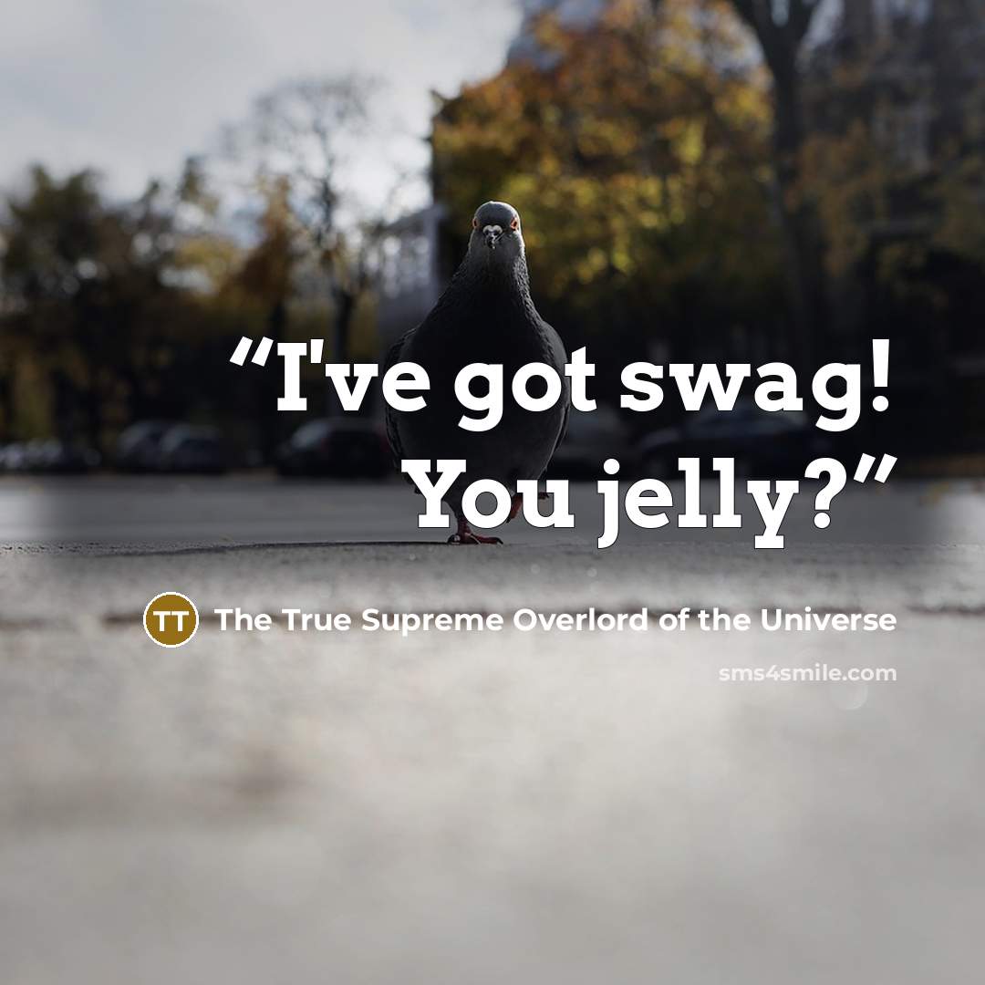 “I've got swag! You jelly?” quote by The True Supreme Overlord of the Universe