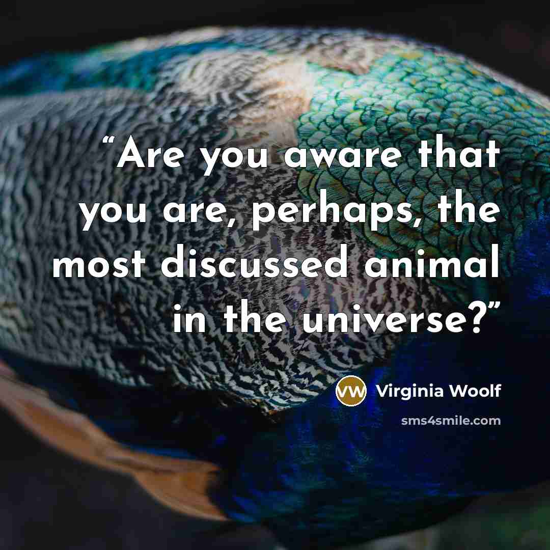 “Are you aware that you are, perhaps, the most discussed animal in the universe?” quote by Virginia Woolf