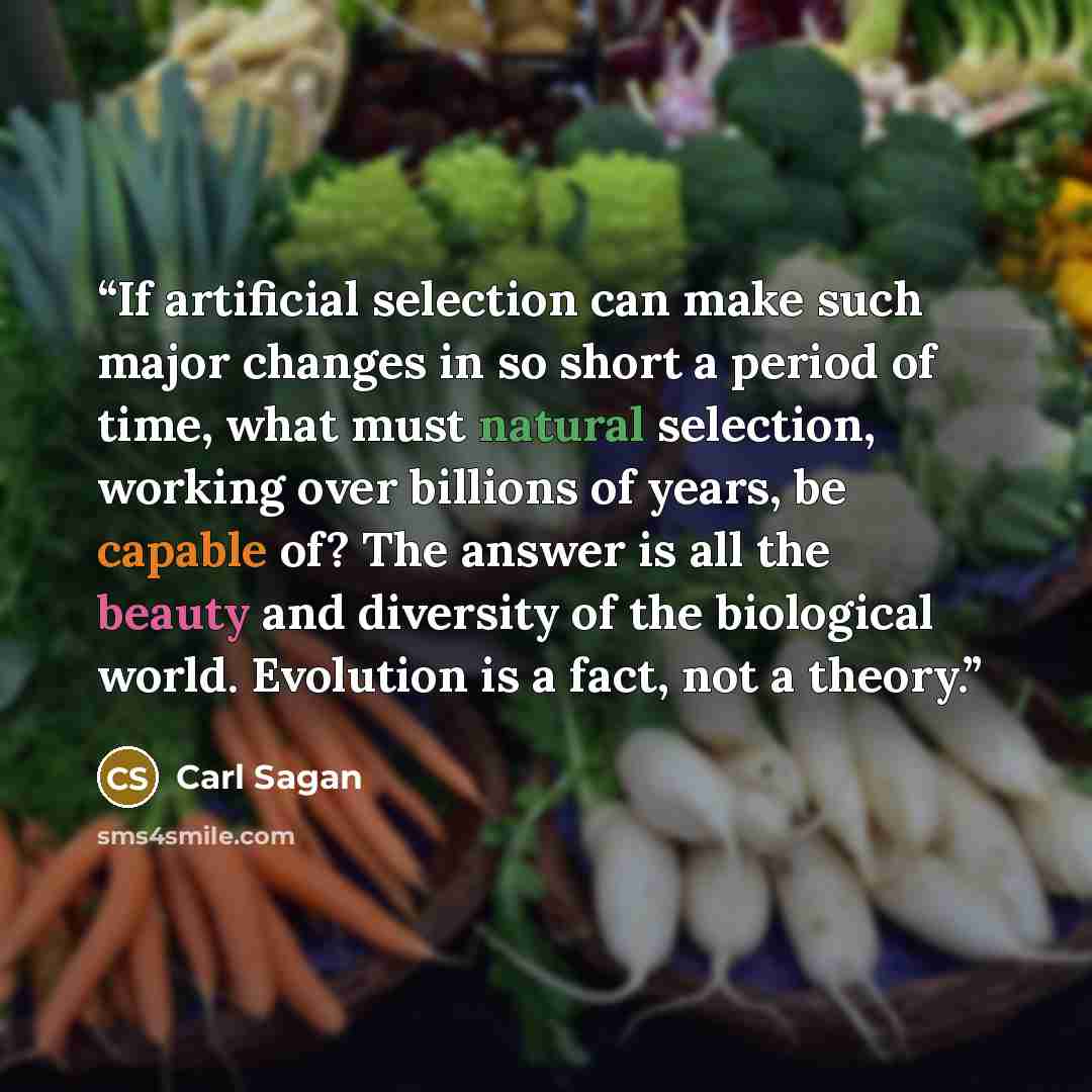“If artificial selection can make such major changes in so short a period of time, what must natural selection, working over billions of years, be capable of? The answer is all the beauty and diversity of the biological world. Evolution is a fact, not a theory.” quote by Carl Sagan
