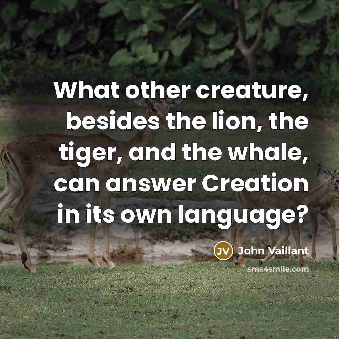 “What other creature, besides the lion, the tiger, and the whale, can answer Creation in its own language?” quote by John Vaillant