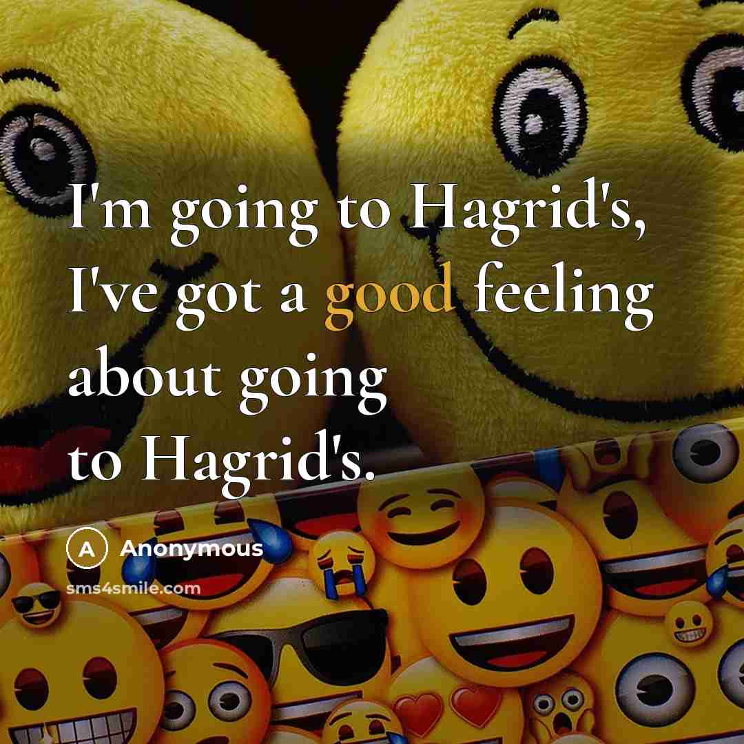 “I'm going to Hagrid's, I've got a good feeling about going to Hagrid's.” quote by Anonymous