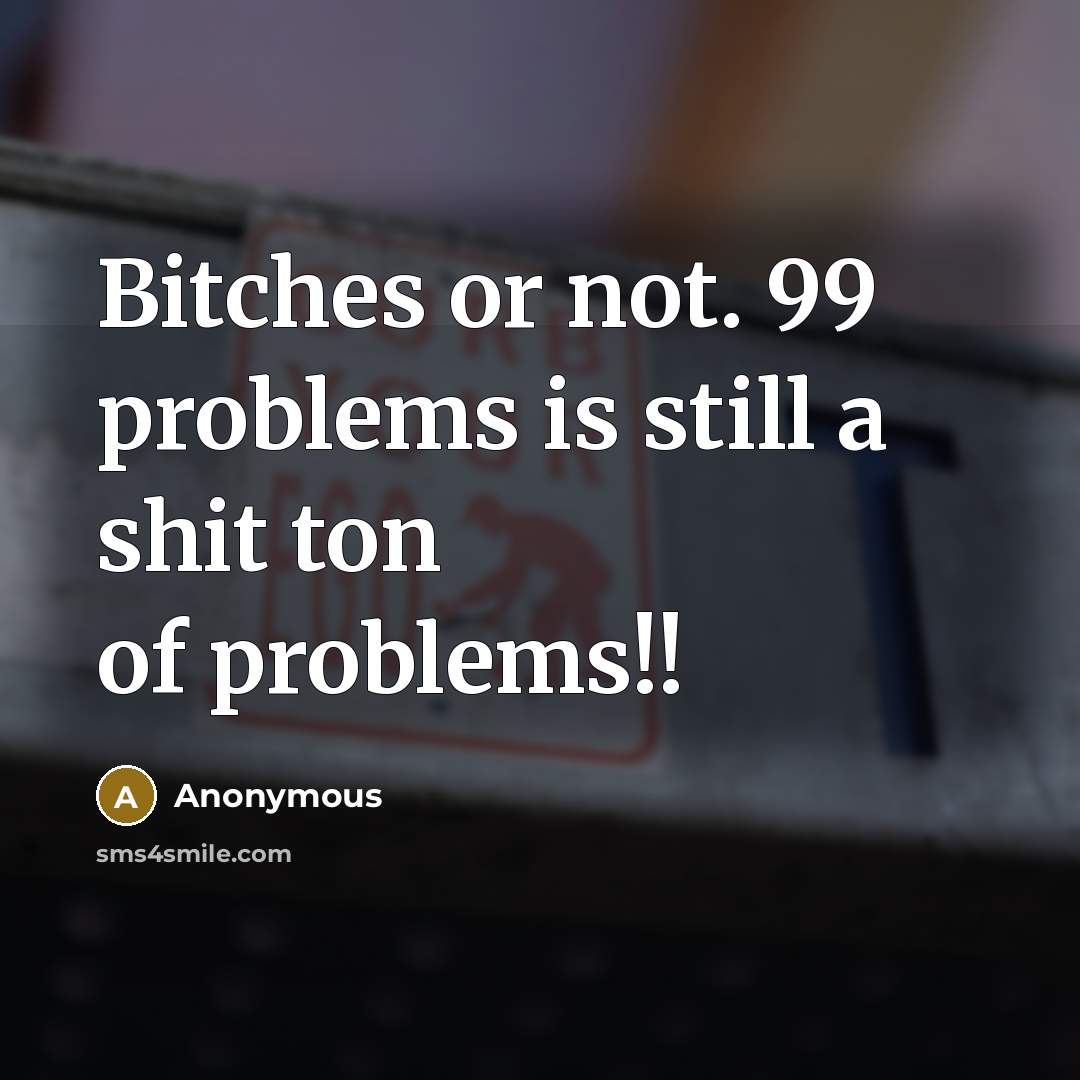 “Bitches or not. 99 problems is still a shit ton of problems!!” quote by Anonymous