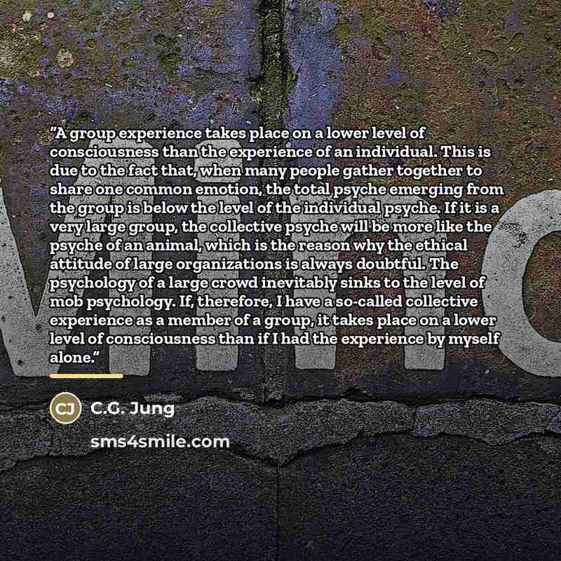“A group experience takes place on a lower level of consciousness than the experience of an individual. This is due to the fact that, when many people gather together to share one common emotion, the total psyche emerging from the group is below the level of the individual psyche. If it is a very…” quote by C.G. Jung
