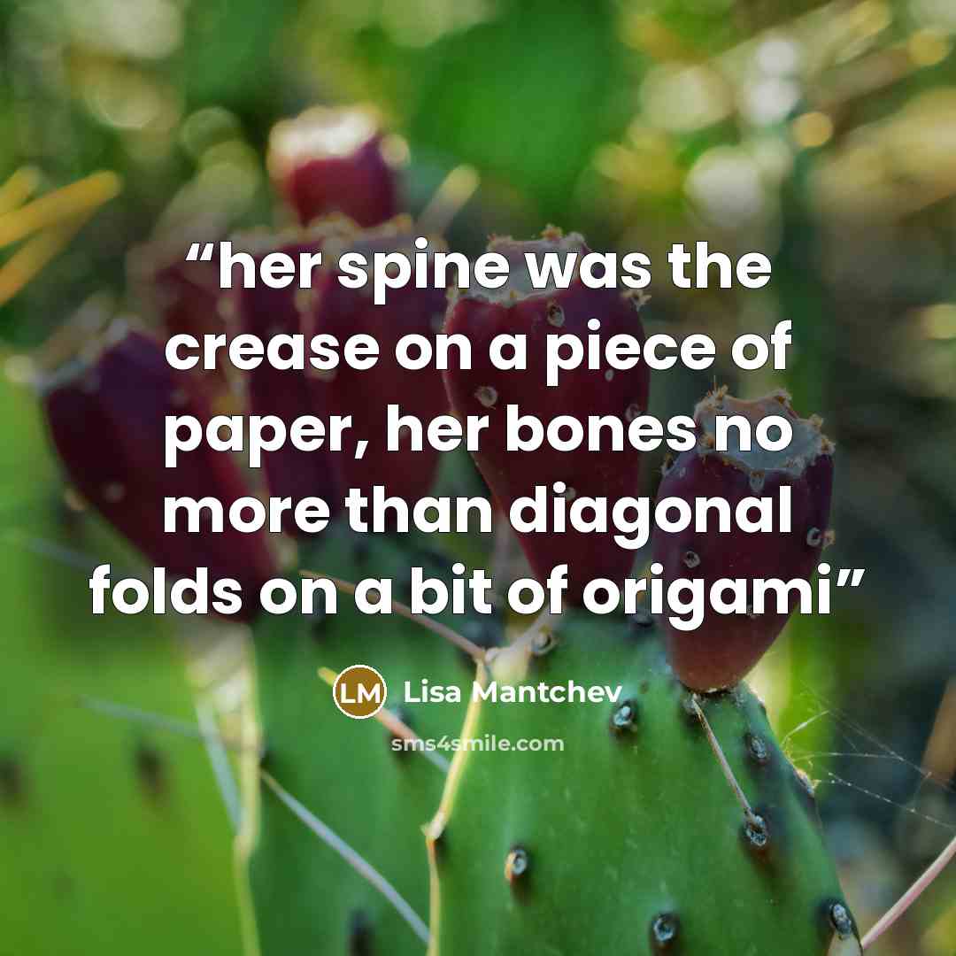 “her spine was the crease on a piece of paper, her bones no more than diagonal folds on a bit of origami” quote by Lisa Mantchev