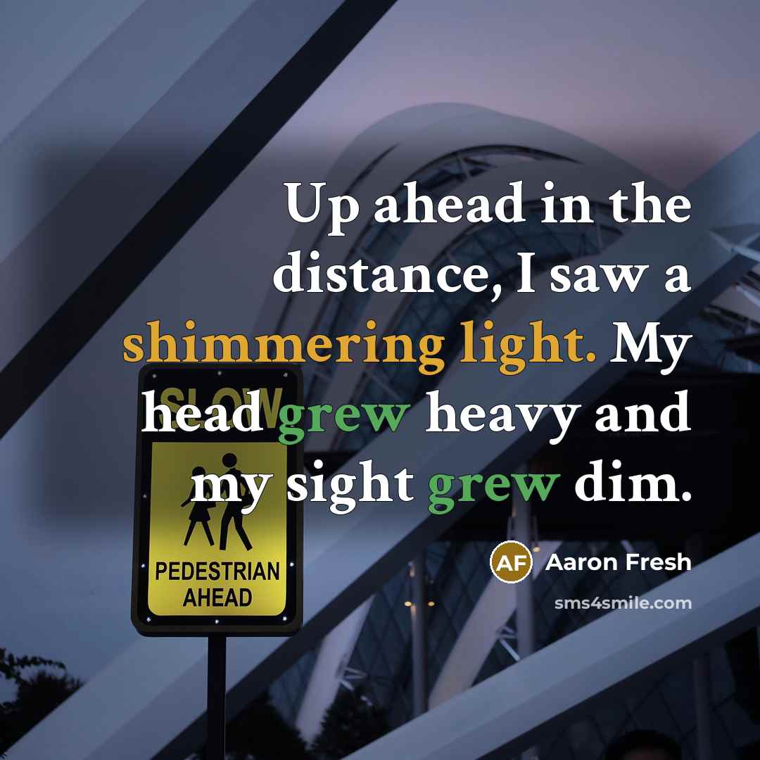 “Up ahead in the distance, I saw a shimmering light. My head grew heavy and my sight grew dim.” quote by Aaron Fresh